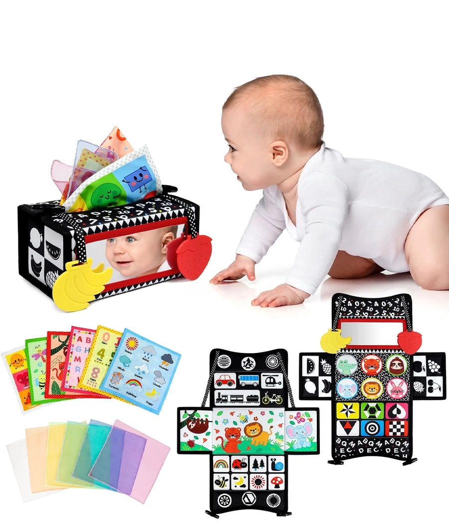 3in1 Tissue Box Toy