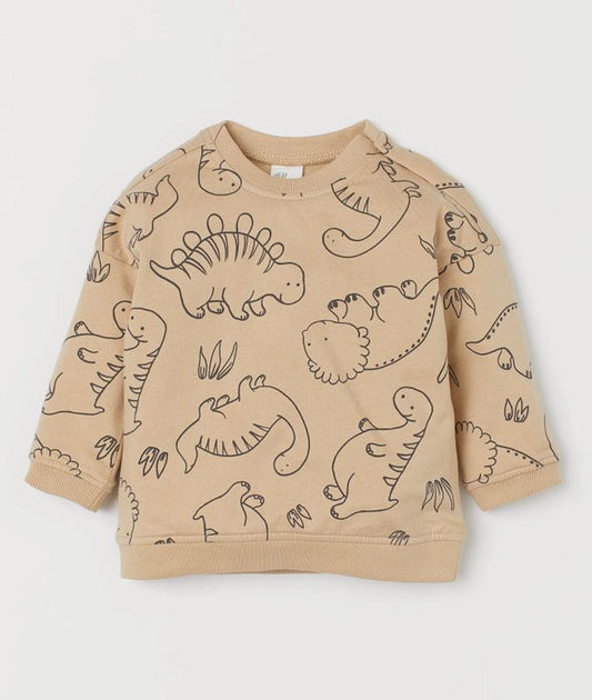 Cotton sweatshirt