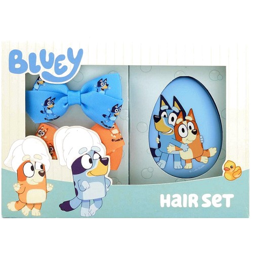 Bluey Hair Set